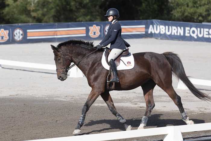 Anna Marie Mayes of Auburn Equestrian